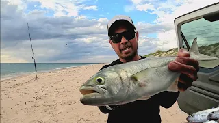 SOLO FISHING and BEACH CAMP   - Catch And Cook -