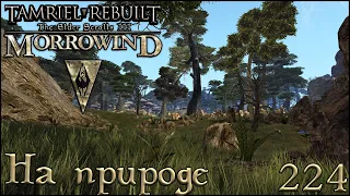 Morrowind Tamriel Rebuilt - К Тель Мусаде, #162 (224)