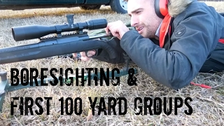 Savage Axis Boresighting & First 100 Yard Groups (SUB MOA?) (HD)