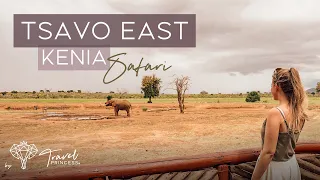 TSAVO EAST Nationalpark Safari Kenia 2024 | Afrika | BIG 5 • Elefanten • Löwen • Zebras • Giraffen