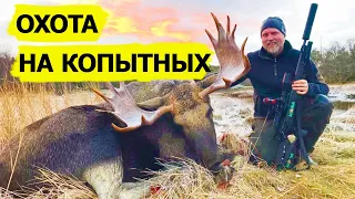 Охота на копытных. Охотничьи приключения в Норвегии / NORDIC WILD HUNTER (Охотник и рыболов)