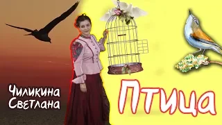 Чиликина Светлана - Птица (Cover Юлия Михальчик)