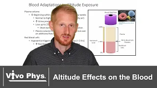 Altitude Effects on the Blood