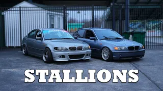 The E46's Hit The Streets