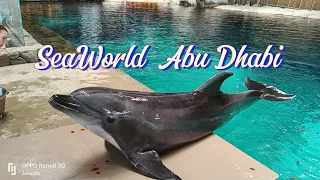 SeaWorld Abu Dhabi | Yas Island | UAE