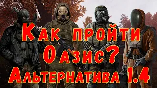 ☢ S.T.A.L.K.E.R. AlternativA 1.4 Как пройти Оазис.  2 место знаний. ☢