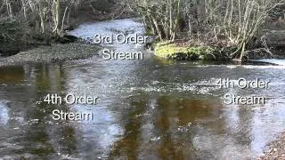 River Features