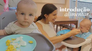 O Thomas começou a comer e já dei ovo pra ele! INTRODUÇÃO ALIMENTAR do meu bebê de 6 meses