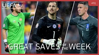 DIMITRIEVSKI, DÚBRAVKA, VLACHODIMOS | EURO Qualifiers GREAT SAVES, Matchday 7-8