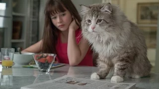 Девять жизней / Nine Lives (2016) Дублированный трейлер HD