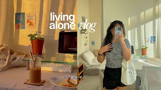 living alone in the philippines✨ my ordinary days  🌱 cooking and doing groceries on weekends
