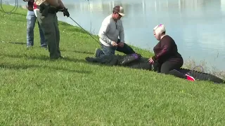 Woman killed by alligator while with her dog in Florida