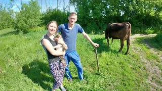 Уколи для Корови!🐮😠💉 Маленький Браун-Швіц👶 та виводимо дівчат на вулицю!☺🌞