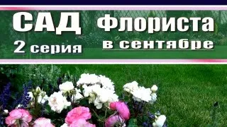 Прогулка по саду флориста - 2 серия  / Обзор сада в сентябре  / цветение гортензий / цветение роз