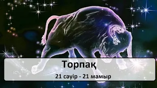 "ТОРПАҚ" -  толық сипаттама