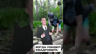 Когда увидел человека занимающегося квадробикой: