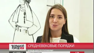 В Хабаровск привезли средневековые косметические принадлежности. Большой город. live. 24/07/2018