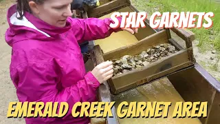 Finding Star Garnets at the Emerald Creek Garnet Area