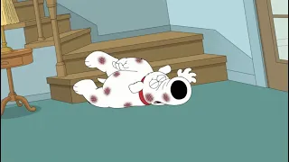 Family Guy – Brian Falls Down The Stairs