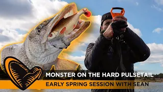 Monster on the Hard Pulsetail
