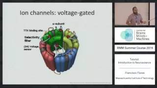 Tutorial: Introduction to Neuroscience