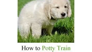 Cesar Millan - How to Potty Train Your Puppy - Cesar Millan