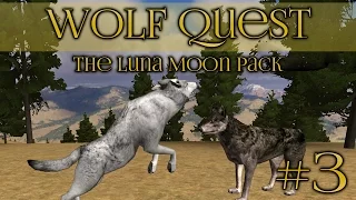 Wolf Quest 🐺 Working as a Pack! - Episode #3
