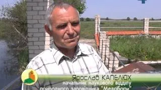 Озера без дна є на Гусятинщині