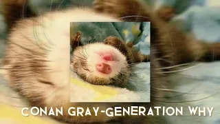 conan gray-generation why(sped up)