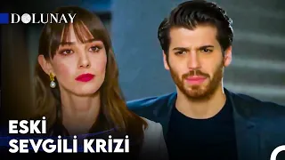 Pelin'e Karşı Bir Şey Hissediyor Musun? - Dolunay