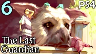 The Last Guardian Walkthrough Part 6 - Another Trico? (PS4 Gameplay)