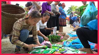 FULL VIDEO: 90 Days Agricultural Harvest Goes to the market sell. Building farm, free Life (ep127)