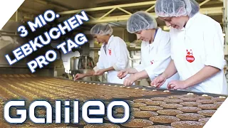 Es ist Lebkuchenzeit! Massenprodukt oder handgefertigt, was schmeckt besser?| Galileo | ProSieben |