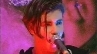 Elastica - Line Up (The Word)