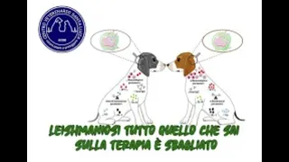 104 - Leishmaniosi nei cani e nei gatti tutto quello che sai sulla terapia è sbagliato