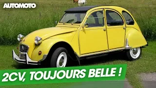 A 70 ans, la 2CV séduit toujours les jeunes