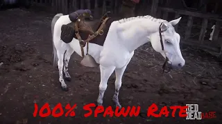 How to get the White Arabian horse to spawn 100% of the time (RDR2)