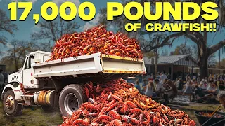 A Crawfish Farm and 17,000 POUNDS of Boiled Crawfish