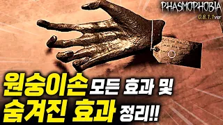 【파스모포비아】 원숭이손 10가지 소원 효과 및 숨겨진 효과 정리!!