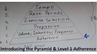 Muscle and Strength Training Pyramid Level 1 and intro