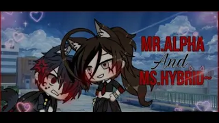 Mr. Alpha and ms. Hybrid😈-original(gacha life mini movie)