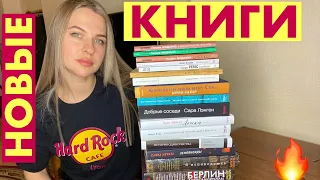 Книжные покупки и подарки на день рождения📚