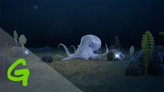 Protect the deep sea