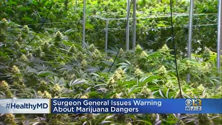 Healthwatch: Surgeon General Issues Warning About Marijuana Dangers