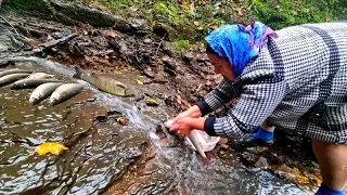 GRANDMA COOKED NATIONAL DISH OF AZERBAIJAN - NUTS INSIDE FISH