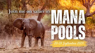 Join me on a MANA POOLS photographic safari this September!