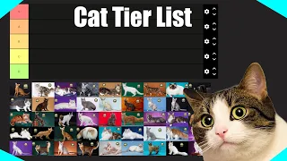 What Cat is the best? (Cat Tier list)