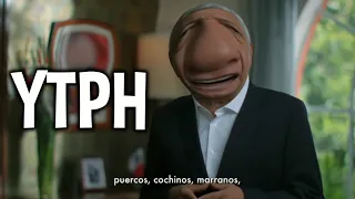 YTPH | Puercos, cochinos, marranos, cerdos