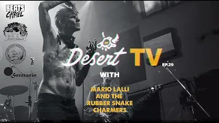 Desert TV: MARIO LALLI & THE RUBBER SNAKE CHARMERS