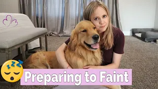 PREPARING TO FAINT - What I Do After my Service Dog Alerts (& fainting on camera w/ dog responding)